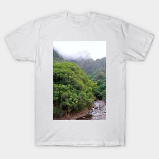 Iao Valley State Park Study 3 T-Shirt